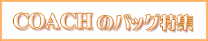 �R�[�`�̃o�b�O���W